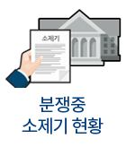 분쟁중 소제기 현황